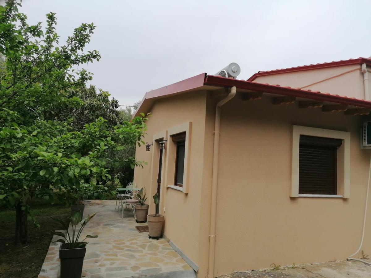 Tiny House By The Sea Βίλα Νέα Σκιώνη Εξωτερικό φωτογραφία