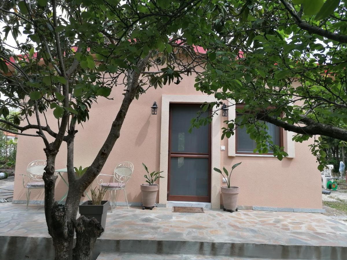 Tiny House By The Sea Βίλα Νέα Σκιώνη Εξωτερικό φωτογραφία