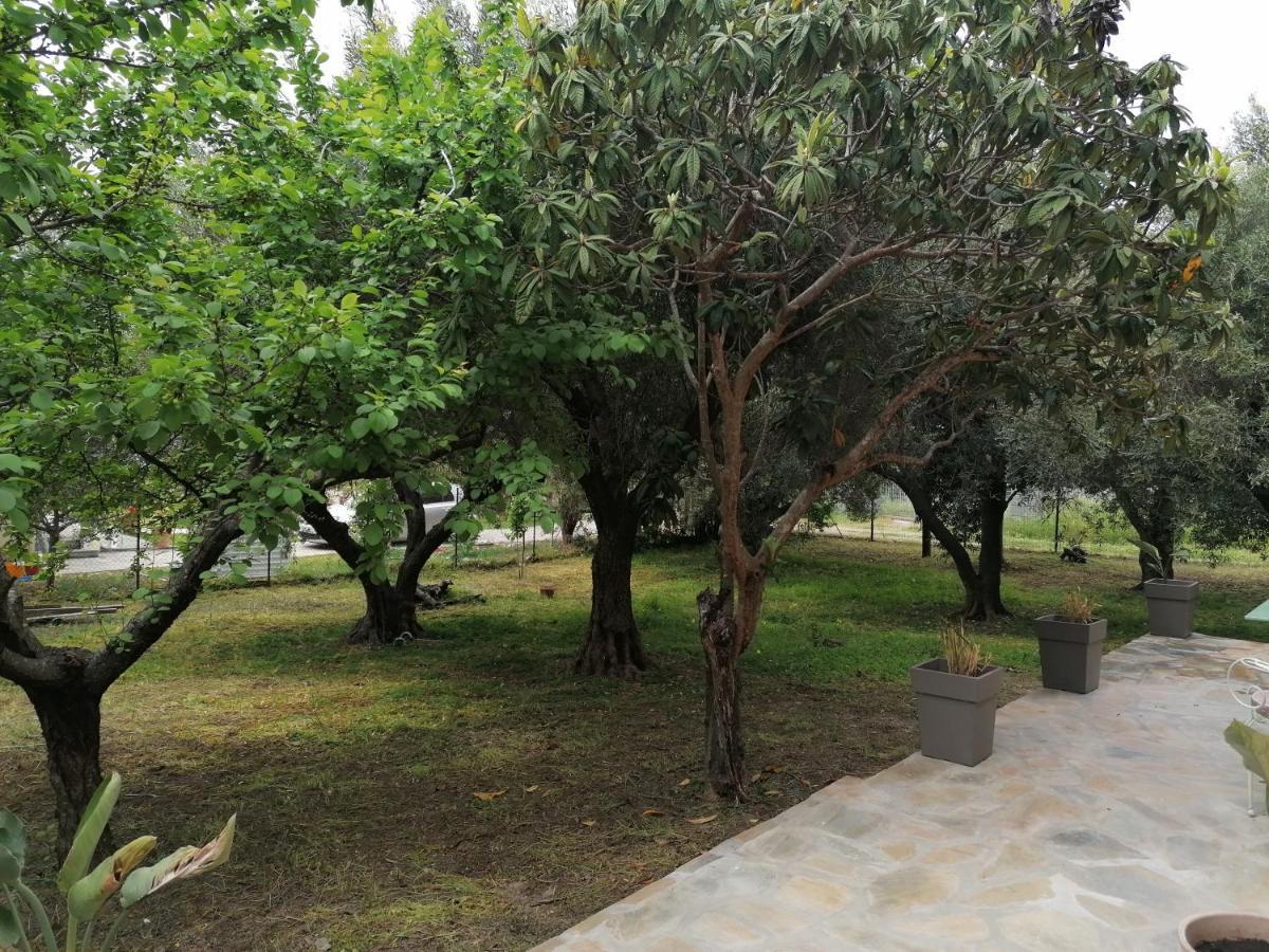 Tiny House By The Sea Βίλα Νέα Σκιώνη Εξωτερικό φωτογραφία