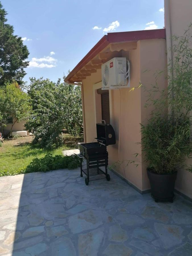 Tiny House By The Sea Βίλα Νέα Σκιώνη Εξωτερικό φωτογραφία