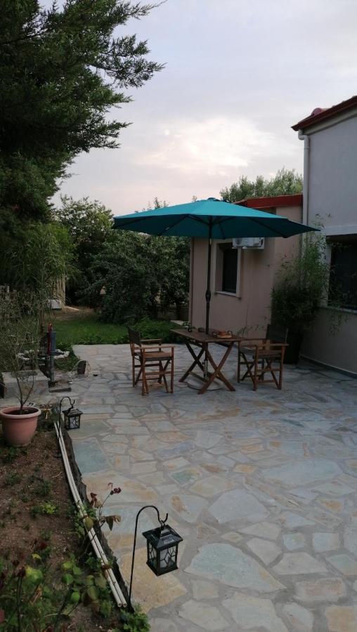 Tiny House By The Sea Βίλα Νέα Σκιώνη Εξωτερικό φωτογραφία