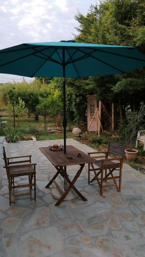Tiny House By The Sea Βίλα Νέα Σκιώνη Εξωτερικό φωτογραφία