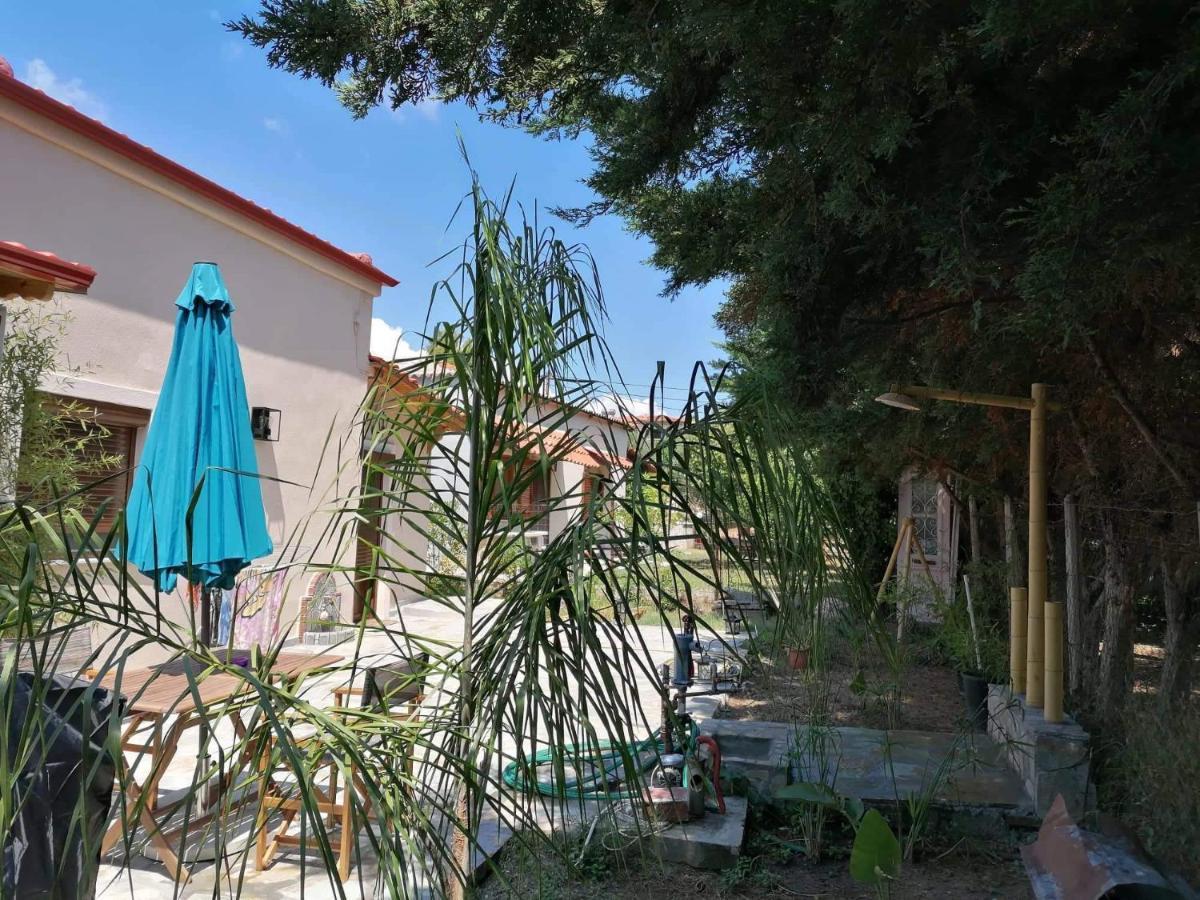 Tiny House By The Sea Βίλα Νέα Σκιώνη Εξωτερικό φωτογραφία
