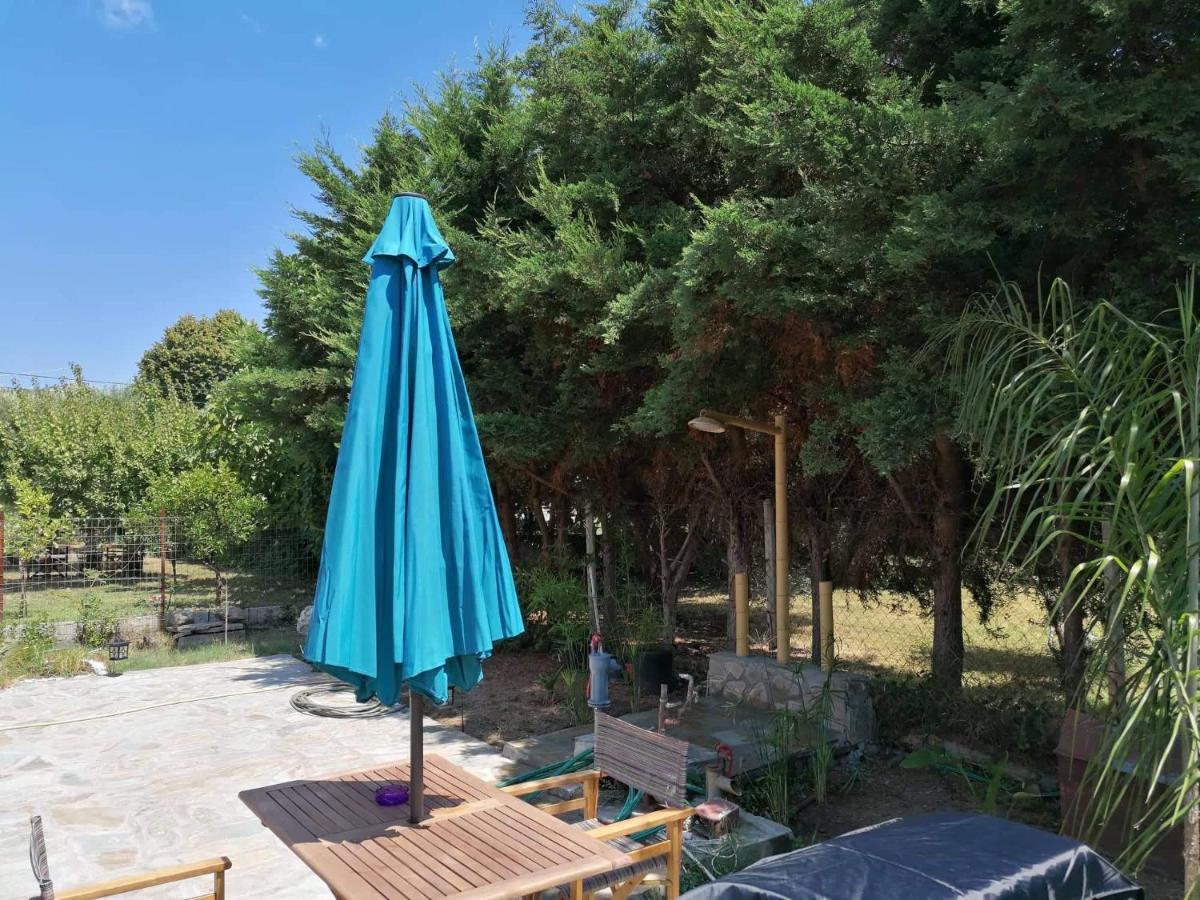Tiny House By The Sea Βίλα Νέα Σκιώνη Εξωτερικό φωτογραφία