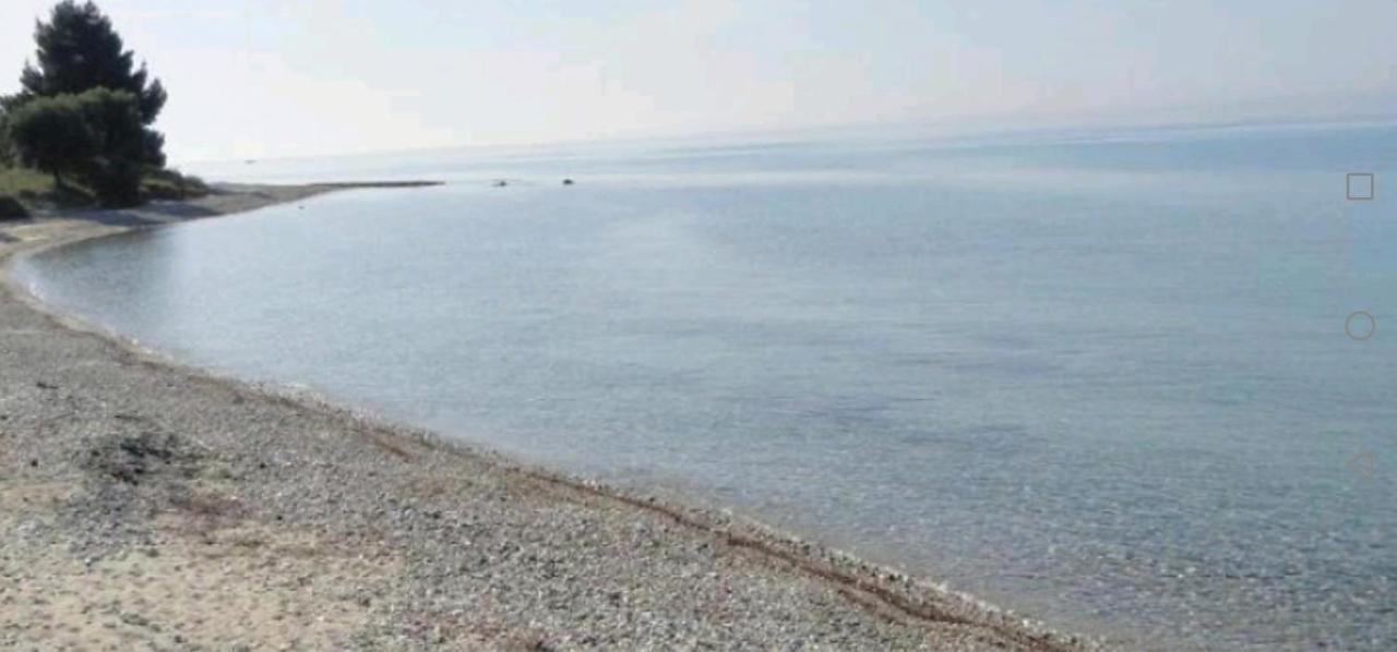 Tiny House By The Sea Βίλα Νέα Σκιώνη Εξωτερικό φωτογραφία