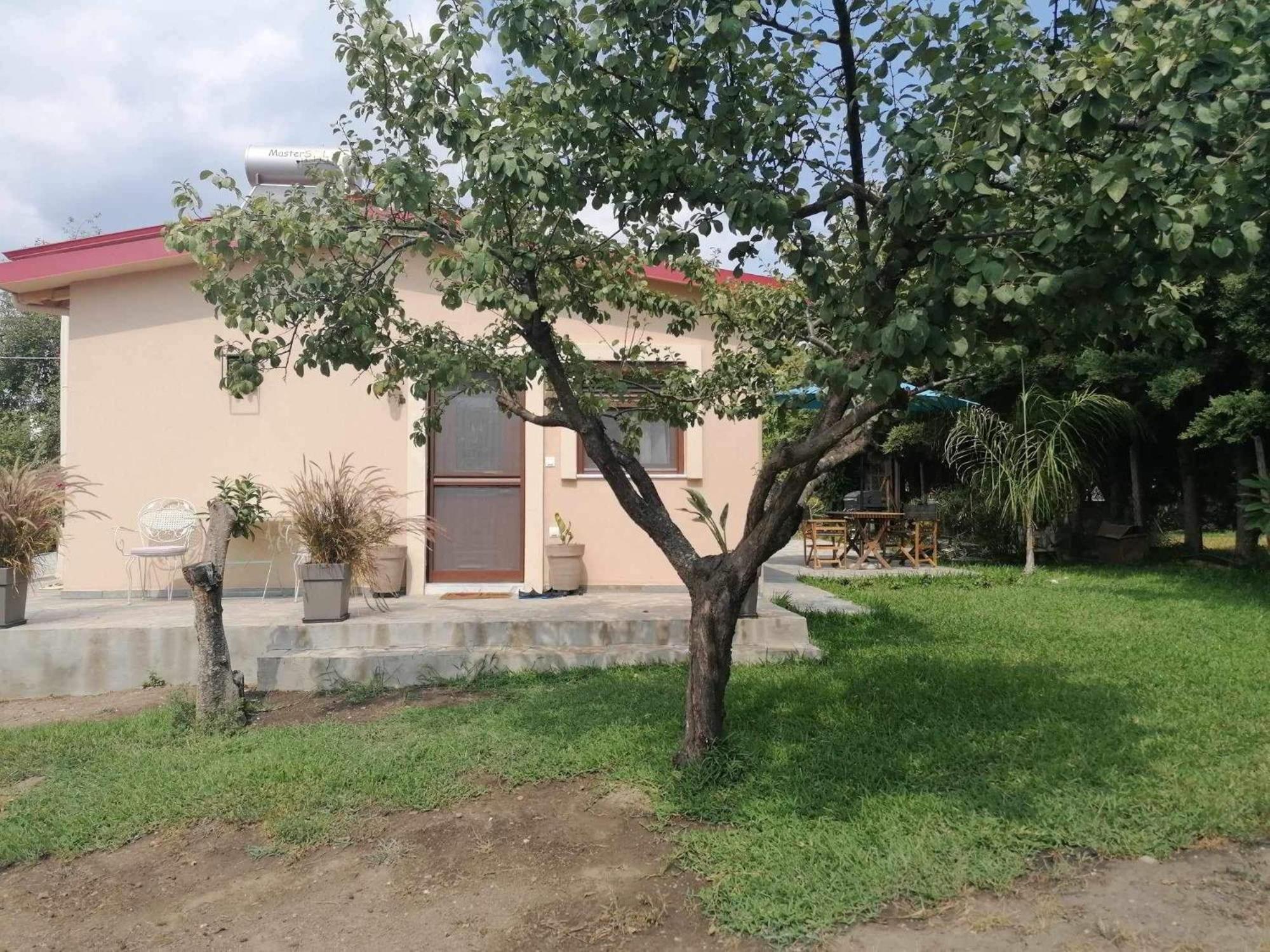 Tiny House By The Sea Βίλα Νέα Σκιώνη Εξωτερικό φωτογραφία