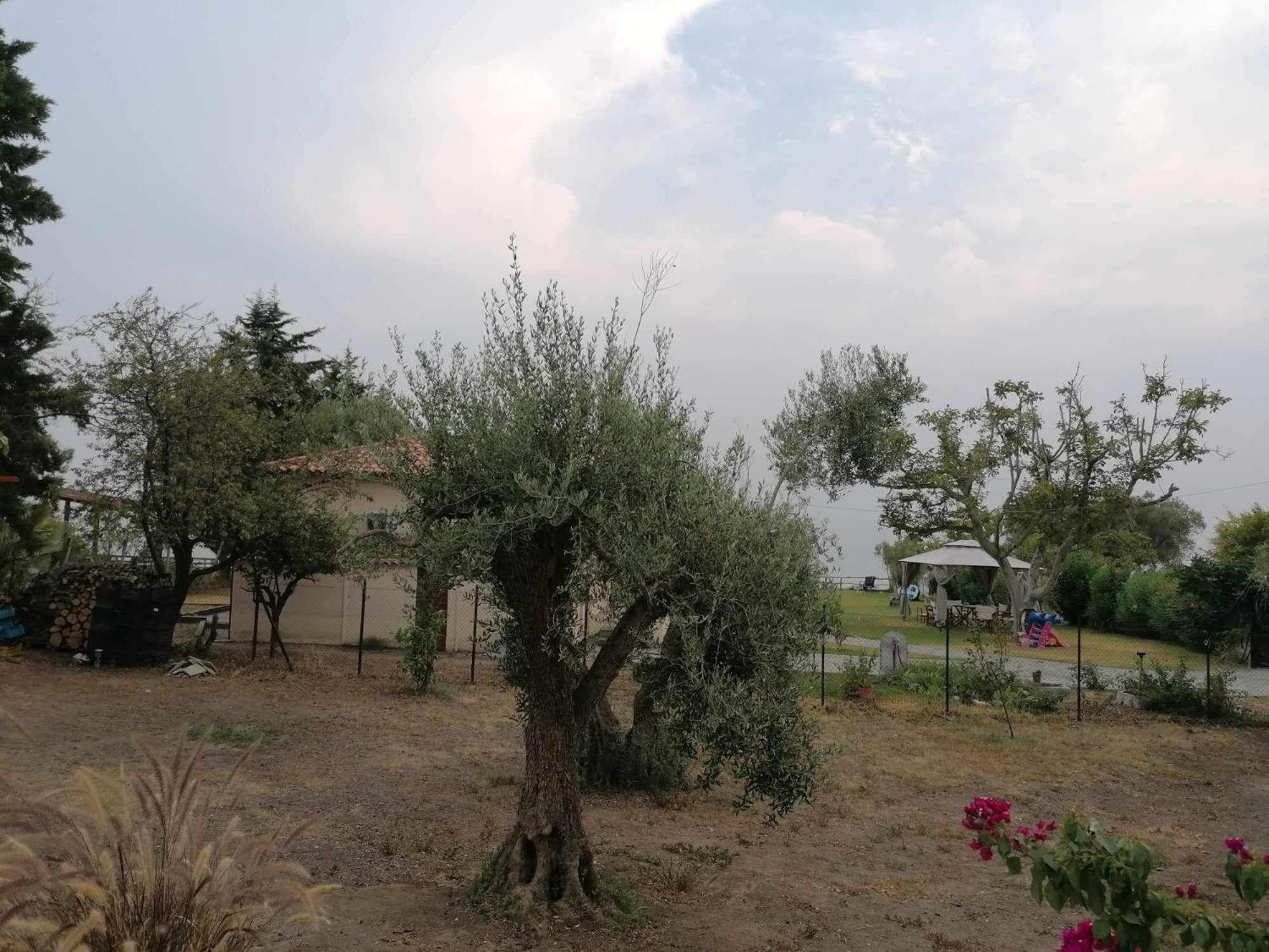 Tiny House By The Sea Βίλα Νέα Σκιώνη Εξωτερικό φωτογραφία